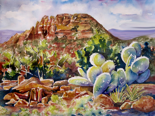 Coxcomb in Sedona Arizona - 18x24